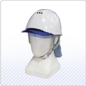 ���S�x�X�g�E�ی��